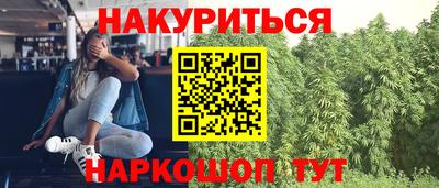 прущие грибы Аргун