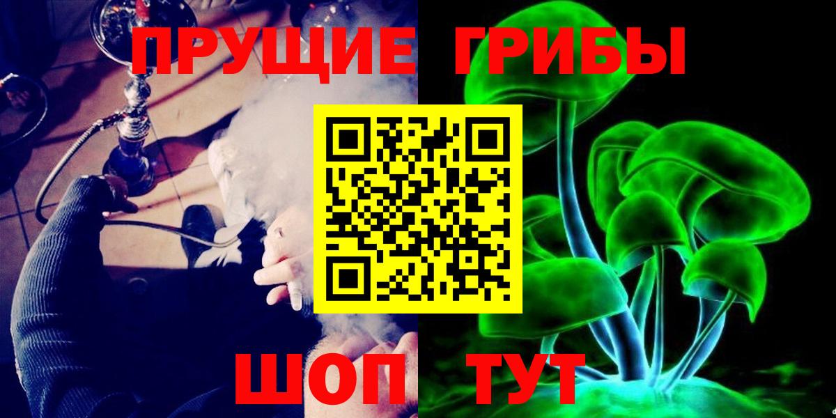 Псилоцибиновые грибы Psilocybe Севастополь