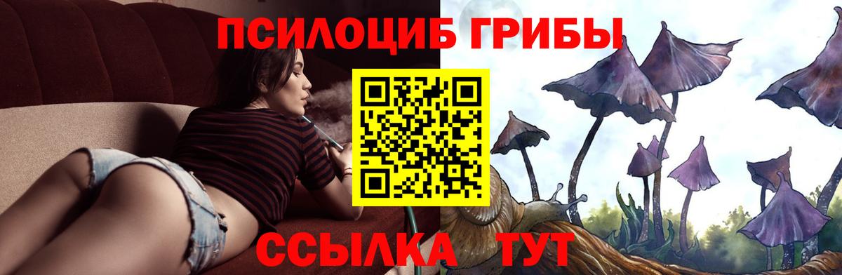 Псилоцибиновые грибы Psilocybe Севастополь